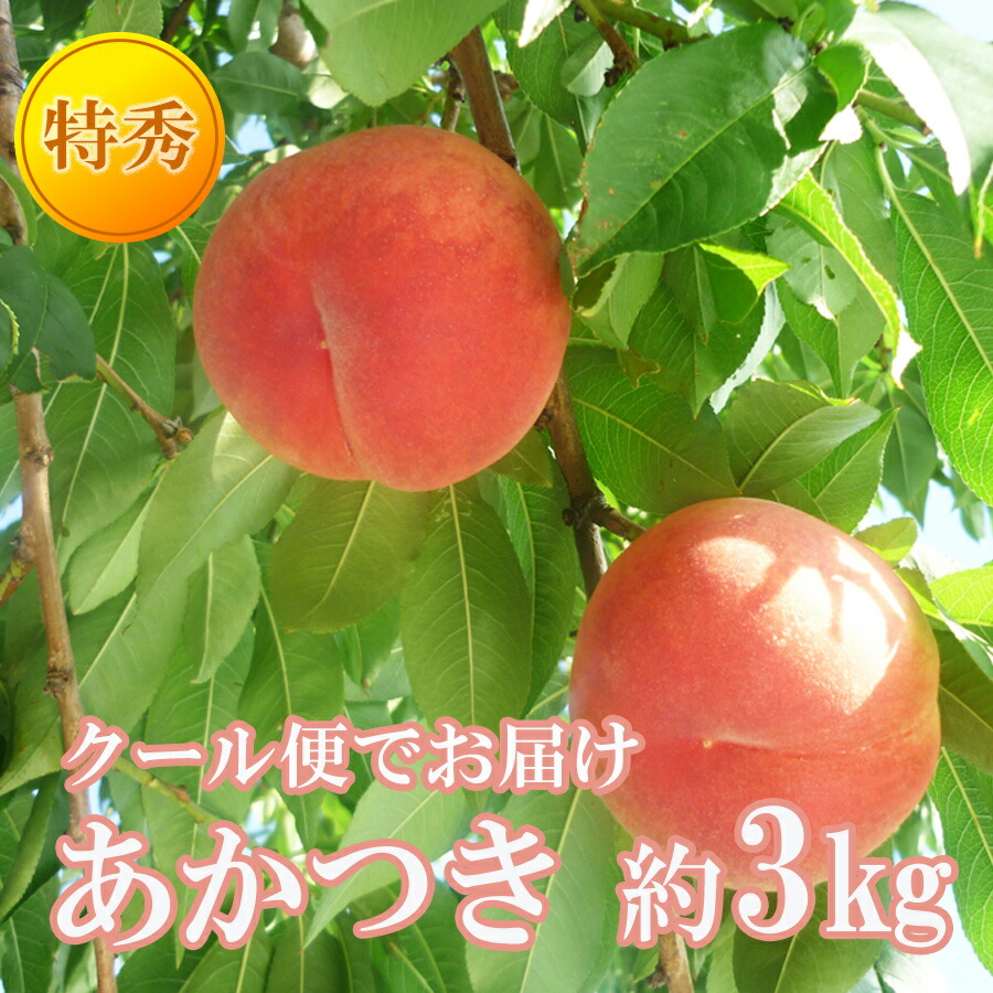 楽天市場】【ふるさと納税】No.1585あづま果樹園 もも（あかつき約1.5kg）【2022年発送】 : 福島県福島市