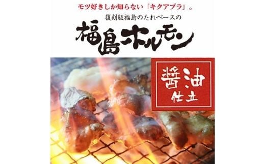 【ふるさと納税】No.1242 ふくしまご当地!福島ホルモン 醤油仕立て 麓山高原豚使用 【5パック入】