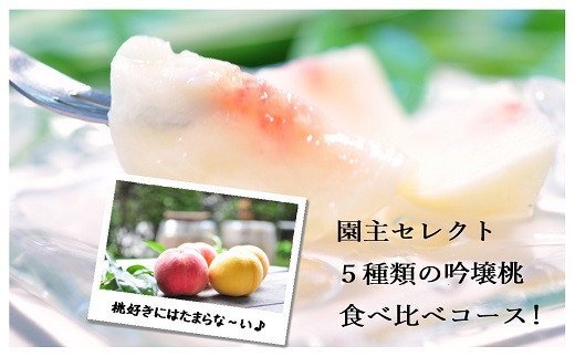 【ふるさと納税】No.1522園主セレクト 5種類の吟壌桃 食べ比べ【2025年発送】