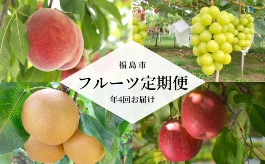 【ふるさと納税】No.2261あかつきから始まるフルーツ4品定期便【2025年発送】