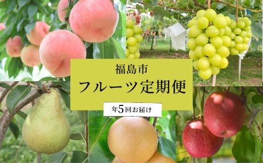 【ふるさと納税】No.2265川中島白桃から始まるフルーツ5品定期便【2025年発送】