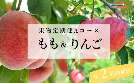 【ふるさと納税】No.2511 くだもの定期便【Aコース/全2回】【2025年発送】