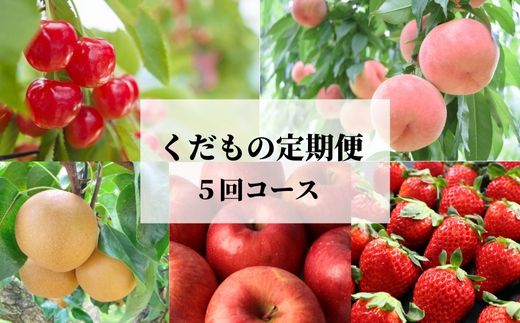 【ふるさと納税】No.2512 JAふくしま未来　くだもの定期便【Bコース/全5回】【2025年発送】