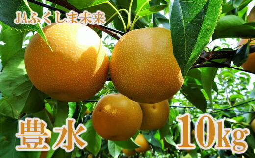 【ふるさと納税】No.2519 なし　特秀「豊水」約10kg【2025年発送】