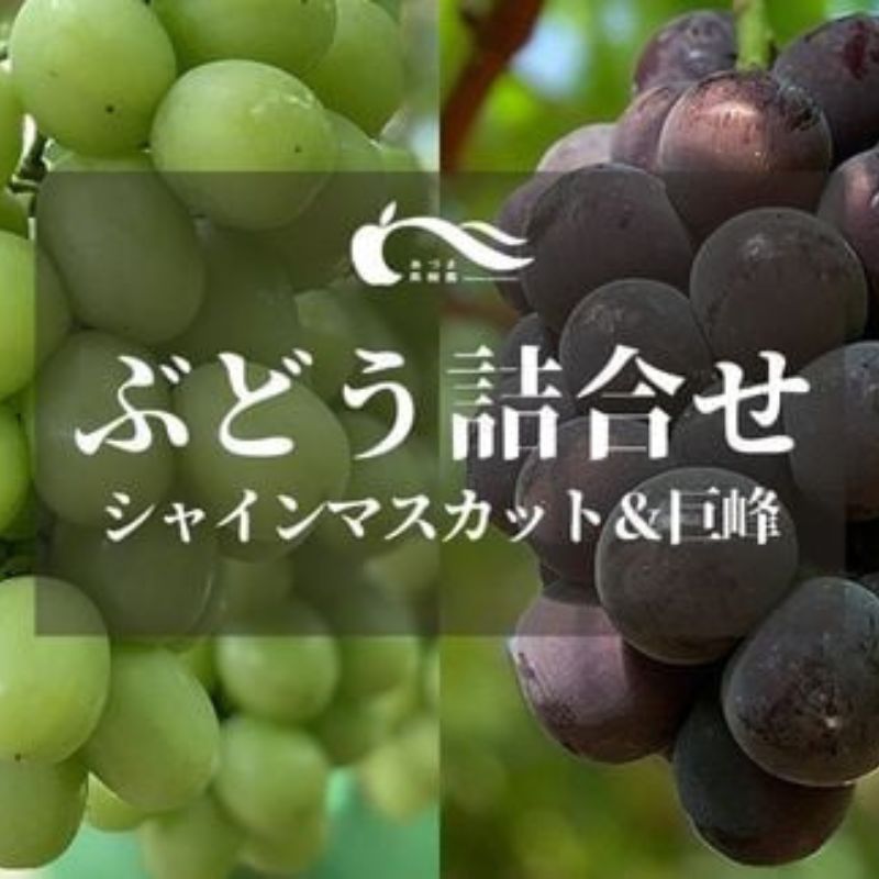【ふるさと納税】No.2784ぶどう（巨峰・シャインマスカット詰合せ）約1kg【2025年発送】先行予約 葡萄 福島のぶどう 詰合せ 食べ比べ 約1kg フルーツ 果物 デザート 旬 クール便  福島市 福島県産 2万円以下 返礼品 お取り寄せ あづま果樹園
