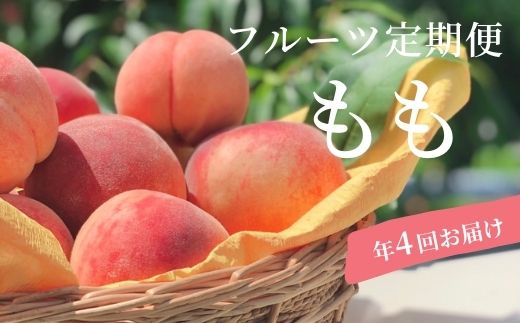【ふるさと納税】No.1625もも4種定期便 あかつき/川中島白桃/白桃・黄桃セット/さくら白桃 各約3kg 【2025年発送】