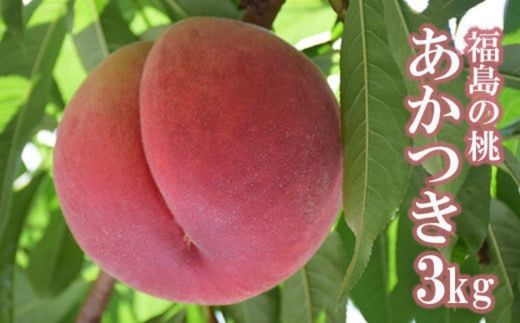 【ふるさと納税】No.2206 もも「あかつき」約3kg【2025年発送】