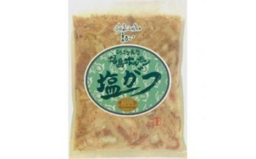 【ふるさと納税】No.1248　ふくしまご当地！福島ホルモン　塩がつ　麓山高原豚使用　【5パック入】