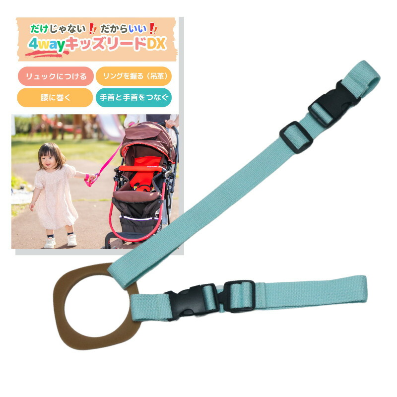 【ふるさと納税】No.2895 ４ｗａｙキッズリードＤＸ 原則としての長さ手合い【胴締め：ミスティブルー 輪っか：赤銅色】