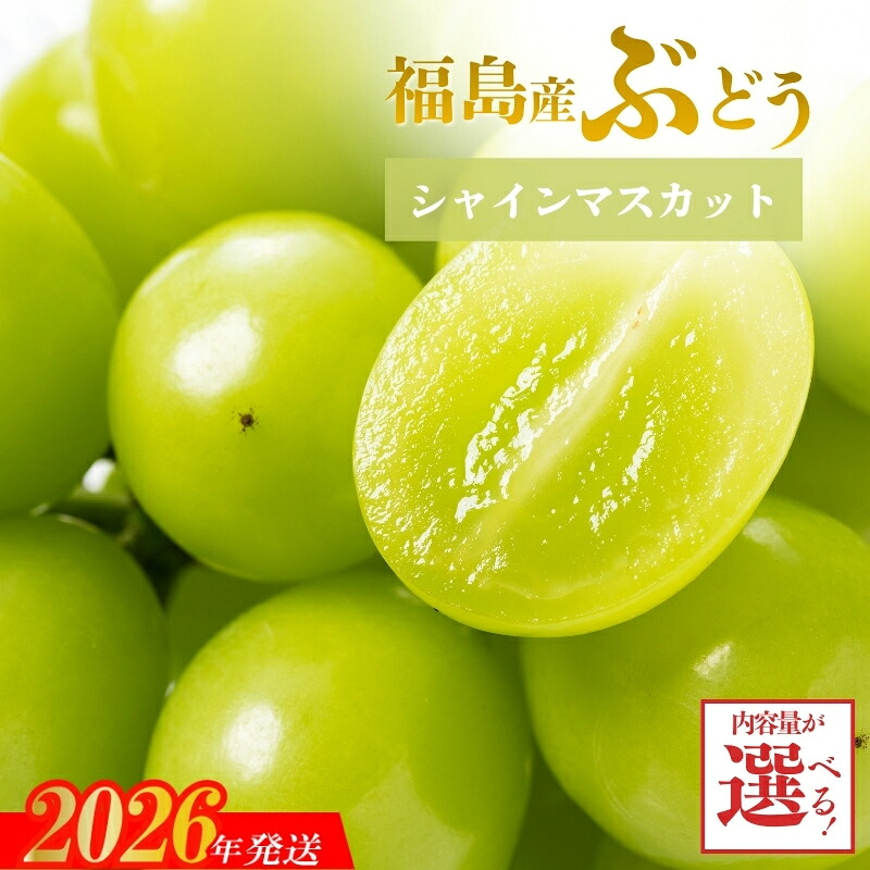 【ふるさと納税】ぶどう シャインマスカット 約1.5kg (2～3房) 約2.5kg (3～4房)【2026年発送】円和 青果部 フルーツ 果物 お取り寄せ おとりよせ 福島 ふくしま 福島市
