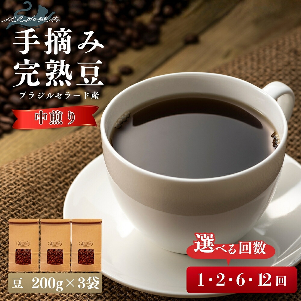 【ふるさと納税】【風味豊かなブラジル・セラード産の完熟豆を使用】手摘み完熟豆（200g×3袋 ）選べる お届け回数 1回 2回 6回 12回