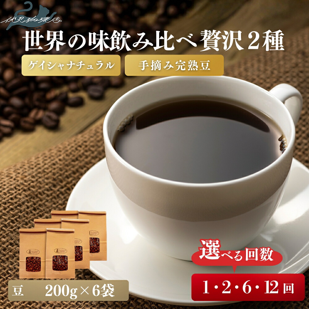 【ふるさと納税】【希少ゲイシャ×手摘み完熟豆】世界の味を飲み比べる贅沢2種セットゲイシャ ナチュラル グリーンランド農園(200g×3袋)手摘み完熟豆(200g×3袋)選べる お届け回数 1回 2回 6回 12回|福島県福島市