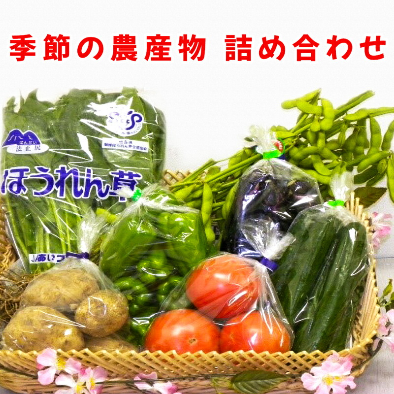 【ふるさと納税】季節の農産物詰め合わせ｜産直 農産物 季節の野菜 やさい 旬の野菜 新鮮 詰合せ [0757]