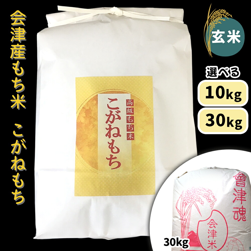 【ふるさと納税】会津産もち米「こがねもち」【玄米】[選べる容量：10kg／30kg]｜令和7年産 2025年産 会津若松市 もちごめ 餅米 米 [1040-1042]｜福島県会津若松市