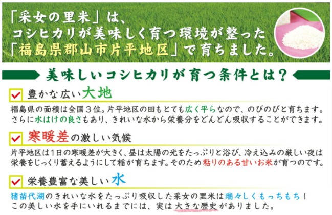 超歓迎 安積疎水の恵み 采女の里米 精米 コシヒカリ 5kg 4袋 合計kg パッケージ ブルー お米 コシヒカリ 5kg ポイント10倍 Sicemingenieros Com 超歓迎 安積疎水の恵み 采女の里米 精米 コシヒカリ 5kg 4袋 合計kg パッケージ ブルー お米 コシヒカリ 5kg ポイント10倍 Sicemingenieros Com