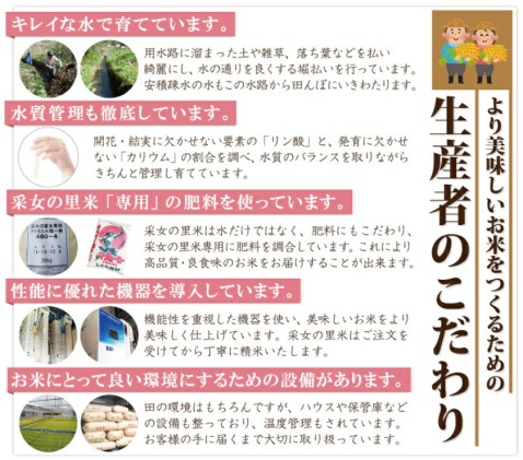 超歓迎 安積疎水の恵み 采女の里米 精米 コシヒカリ 5kg 4袋 合計kg パッケージ ブルー お米 コシヒカリ 5kg ポイント10倍 Sicemingenieros Com 超歓迎 安積疎水の恵み 采女の里米 精米 コシヒカリ 5kg 4袋 合計kg パッケージ ブルー お米 コシヒカリ 5kg ポイント10倍 Sicemingenieros Com