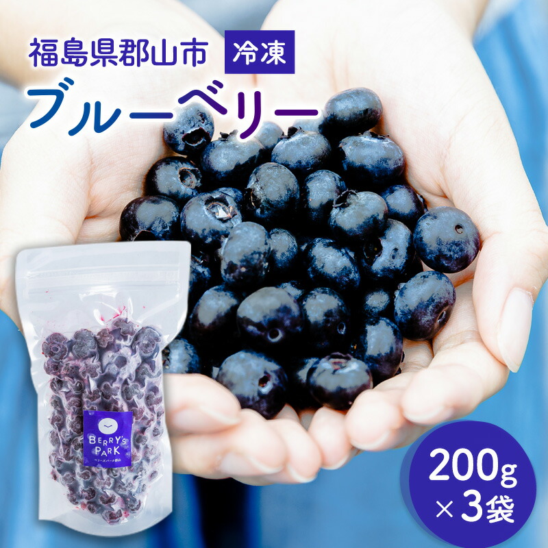 【ふるさと納税】冷凍ブルーベリー200g×3袋(600g) 果物詰合せ フルーツ