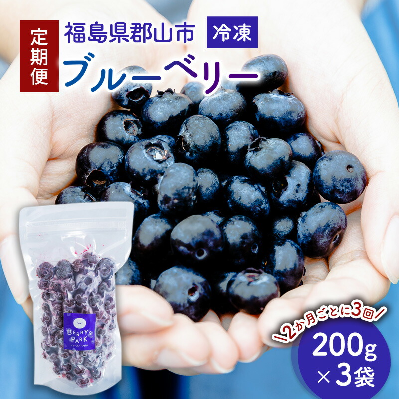 【ふるさと納税】【定期便】冷凍ブルーベリー600gを2か月ごと3回 果物詰合せ フルーツ