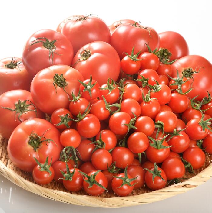 交換無料 いわき産とまと ミニトマト詰合せ 4kg Fucoa Cl 交換無料 いわき産とまと ミニトマト詰合せ 4kg Fucoa Cl