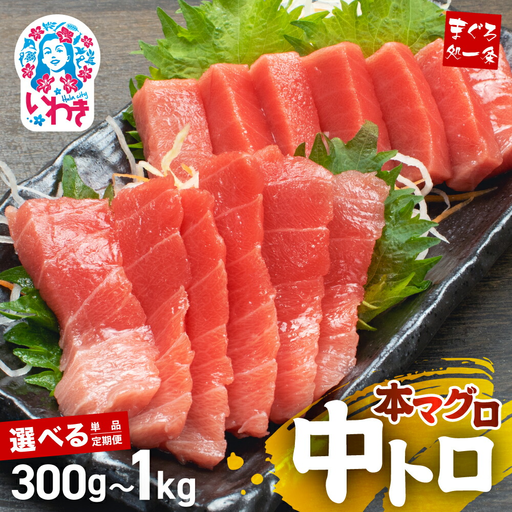 【ふるさと納税】 本マグロ 中トロ 選べる 300g 1kg 定期便 解凍レシピ付 真空包装 個包装 ｜ まぐろ 鮪 本まぐろ 本鮪 刺身 トロ
