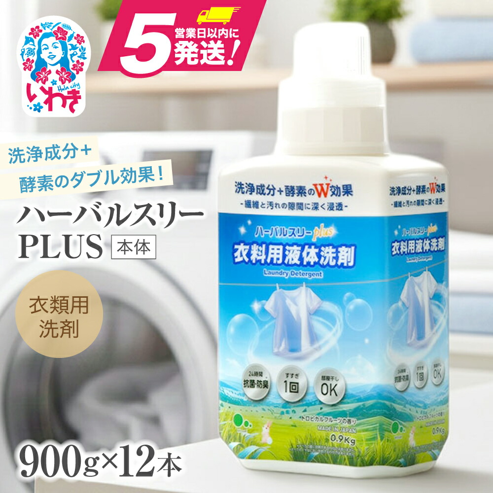 ふるさと納税でいわき市へ！旅行クーポン券