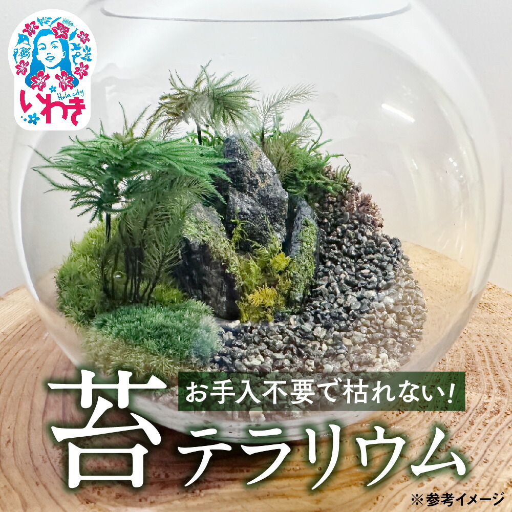ふるさと納税でいわき市へ！旅行クーポン券
