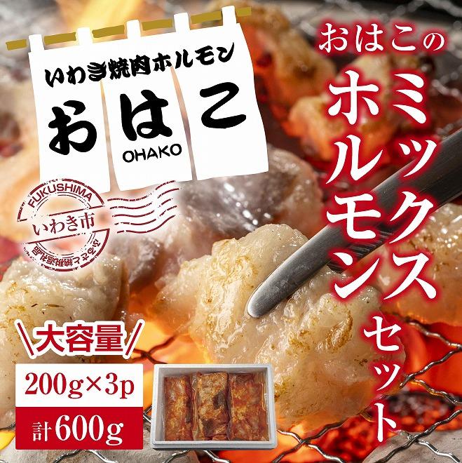 【ふるさと納税】【新鮮ホルモン焼肉】焼肉専門店よりお届け 本格ホルモンをご自宅で! ミックスホルモンセット600g!|福島県いわき市