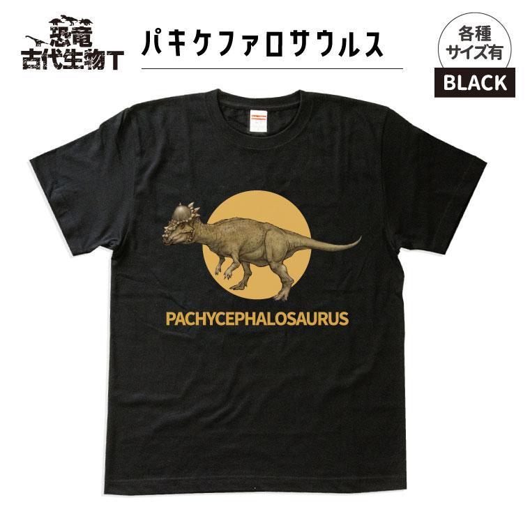 【ふるさと納税】恐竜・古代生物Tシャツ　パキケファロサウルス 036｜福島県いわき市