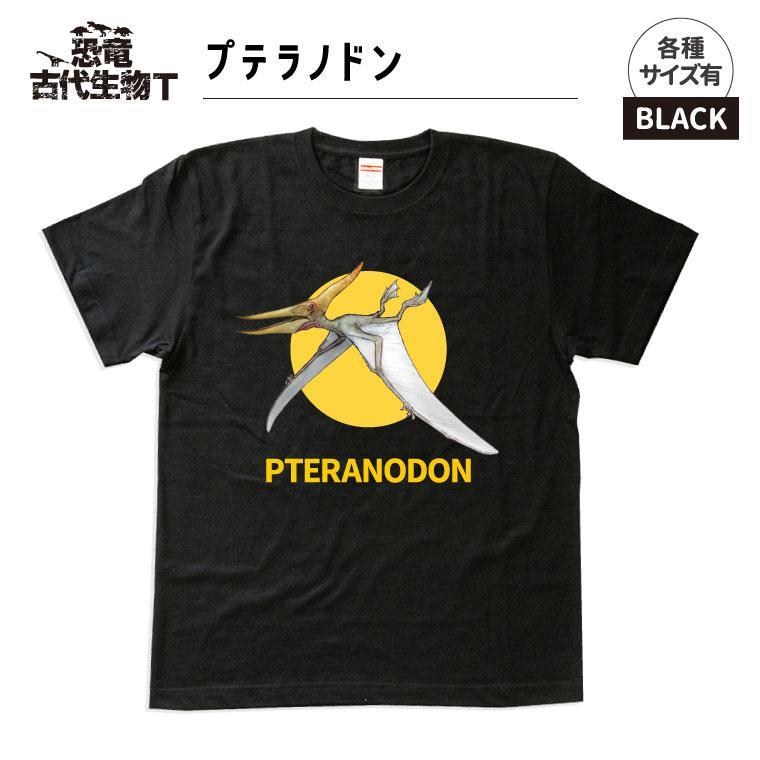 ふるさと納税 服 福島県 いわき市 恐竜・古代生物Tシャツ　フクイサウルス 038　サイズＭ（レギュラー） ブラック　サイズＭ 楽天市場】【ふるさと納税】恐竜・古代生物Tシャツ フクイ
