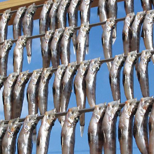 【ふるさと納税】いわき市の魚 めひかりの干物 24尾 ｜ メヒカリ 干物 ひもの 贈答 贈り物 ギフト ｜ 福島県 いわき市 大川魚店 CK007｜福島県いわき市