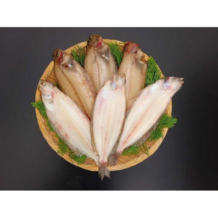 【ふるさと納税】ヤナギガレイ一夜干し　500ｇ（4～6枚） | 魚 お魚 さかな 食品 人気 おすすめ 送料無料