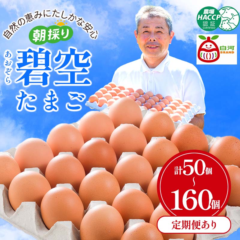 【ふるさと納税】＼選べるお届け回数・個数／ビタミンＥ豊富な「碧空たまご」50個 80個 160個 1回 3回 6回 卵 タマゴ 玉子 朝どり 石井養鶏場 F21R-022var