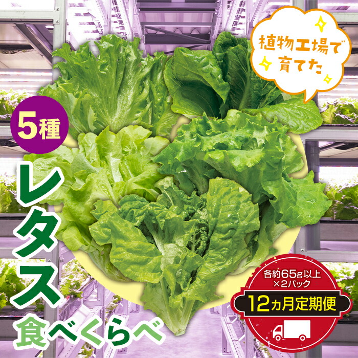 昭和レトロレタス収穫鎌定価4500円のもの4本￼ 昭和レトロレタス収穫鎌定価4500円のもの4本￼ - メルカリ
