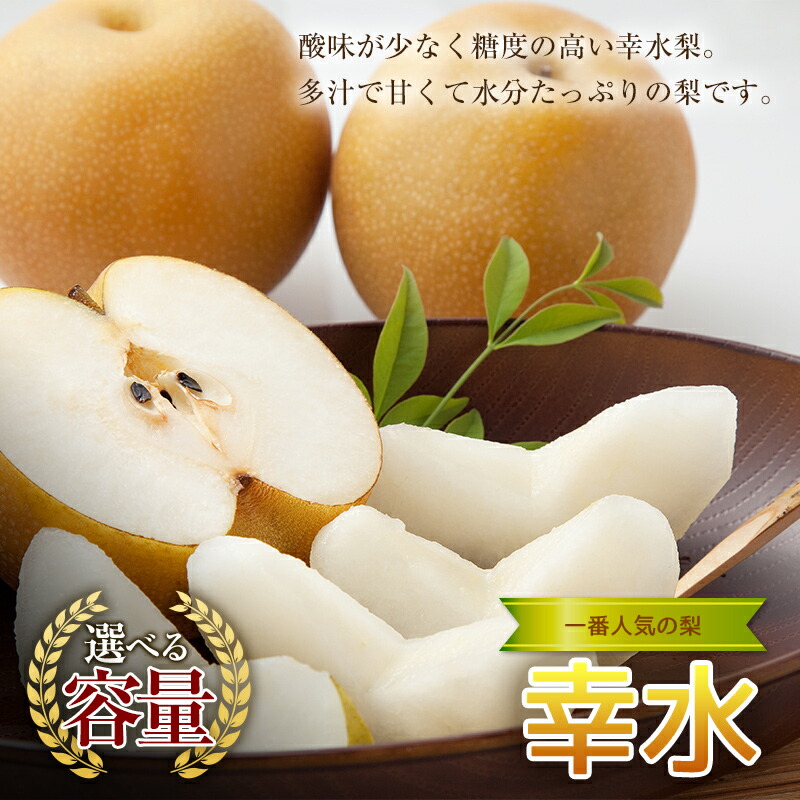 【ふるさと納税】【容量が選べる！】《2025年秋出荷》一番人気の梨 幸水 梨 先行予約 なし 果物 くだもの デザート ギフト ナシ 甘い 福島県 白河市  F21R-852var