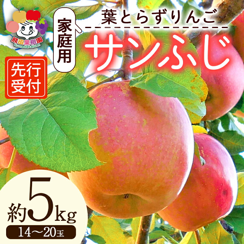 【ふるさと納税】 ＜先行予約＞家庭用 葉とらずりんご サンふじ 約5kg（14～20玉） F21R-879