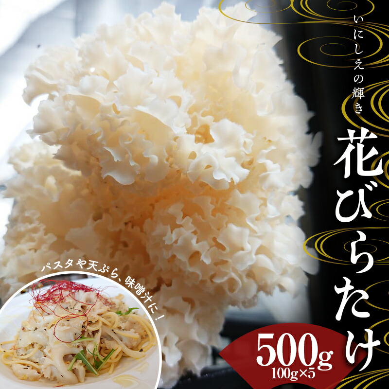【ふるさと納税】いにしえの輝き花びらたけ 500g（100g×5パック） F23R-613