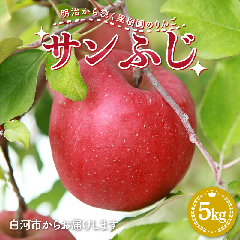 【ふるさと納税】 明治から続く果樹園のりんご「サンふじ」5kg（12～18玉）りんご リンゴ 林檎 果物 くだもの フルーツ 福島県 白河市 F23R-813