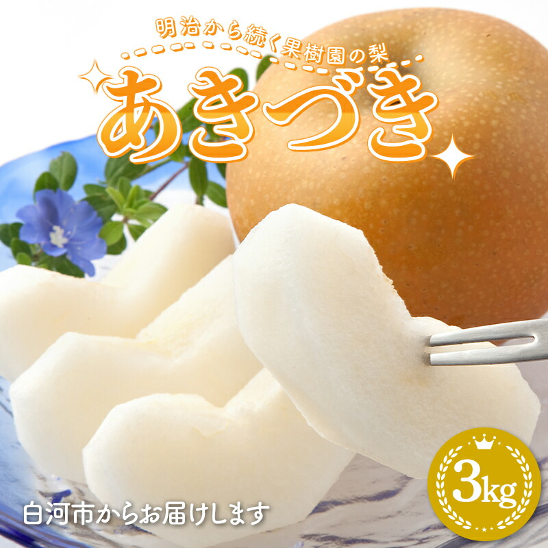 【ふるさと納税】 明治から続く果樹園の梨「あきづき」3kg（8～13玉）梨 先行予約 なし 果物 くだもの デザート ギフト ナシ 甘い フルーツ 福島県 白河市 F23R-818