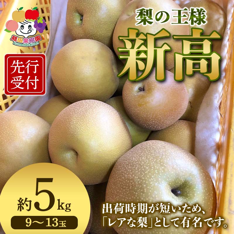 【ふるさと納税】 ＜先行予約＞梨の王様 新高 約5kg（9～13玉） 梨 なし ナシ 梨 デザート フルーツ 果物 くだもの 果実 食品 F23R-942