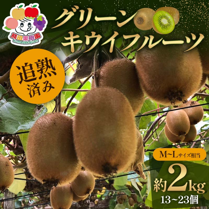 【ふるさと納税】＜先行予約＞追熟済み グリーンキウイフルーツ約2kg M～Lサイズ相当(13～23個) デザート フルーツ 果物 くだもの 果実 食品 F23R-943