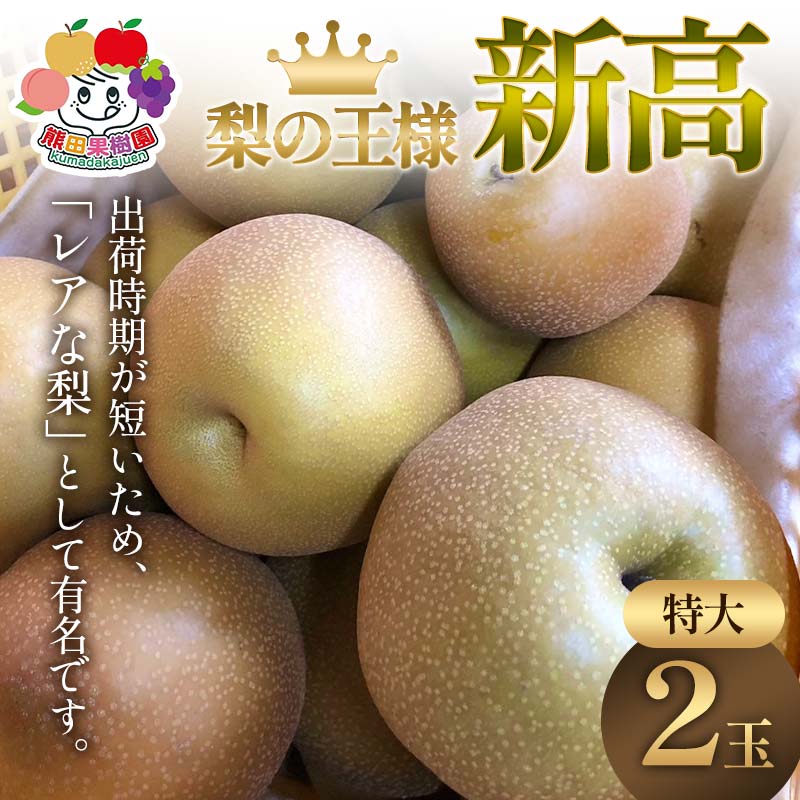 【ふるさと納税】＜先行予約＞梨の王様 新高 特大2玉 梨 なし ナシ 梨 デザート フルーツ 果物 くだもの 果実 食品 F23R-945