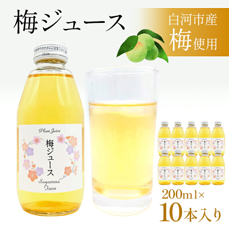 【ふるさと納税】白河の梅ぇジュース 10本入り 果実飲料 ジュース 飲料 果物 くだもの 白河 F24R-224