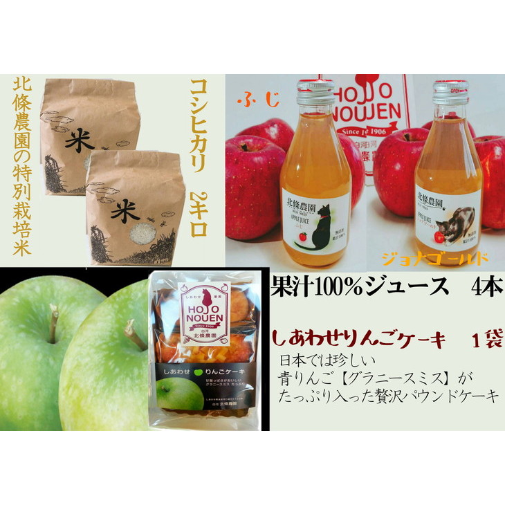 激安単価で ふるさと納税 北條農園の林檎ジュースとお米2kgとりんごケーキ 福島県白河市 Dishub Indramayukab Go Id