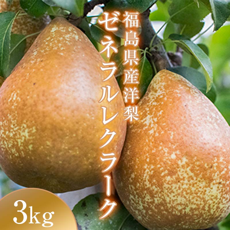 【ふるさと納税】阿部農縁　希少な洋梨ゼネラルレクラーク3kg(6～8玉)　福島の洋梨  F7X-0026