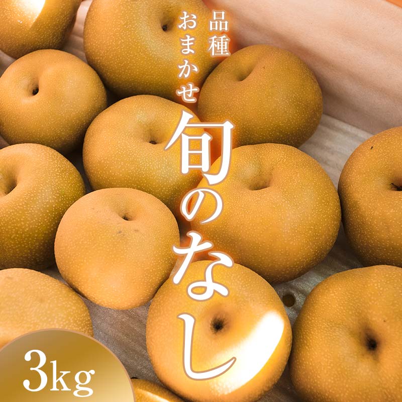 【ふるさと納税】阿部農縁　福島県の和梨　品種おまかせ　旬のなし3kg(8～11玉)　ギフト・贈答用  F7X-0063