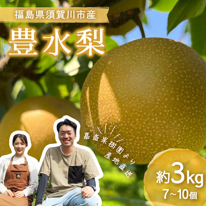 【ふるさと納税】＜先行受付＞ 嘉斎果樹園の梨「豊水」約3kg（7～10個） なし ナシ 梨 デザート フルーツ 果物 くだもの 果実 食品 F7X-0142