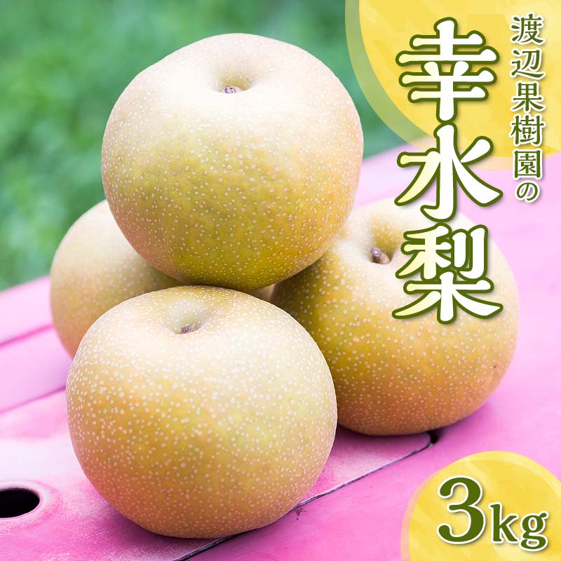 【ふるさと納税】渡辺果樹園の幸水梨　約3kg＜8月中旬～8月下旬にお届け＞  F7X-0162