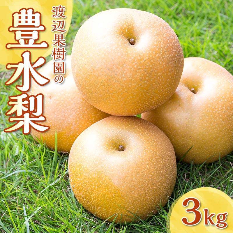 【ふるさと納税】渡辺果樹園の豊水梨　約3kg＜9月上旬～9月下旬にお届け＞  F7X-0163