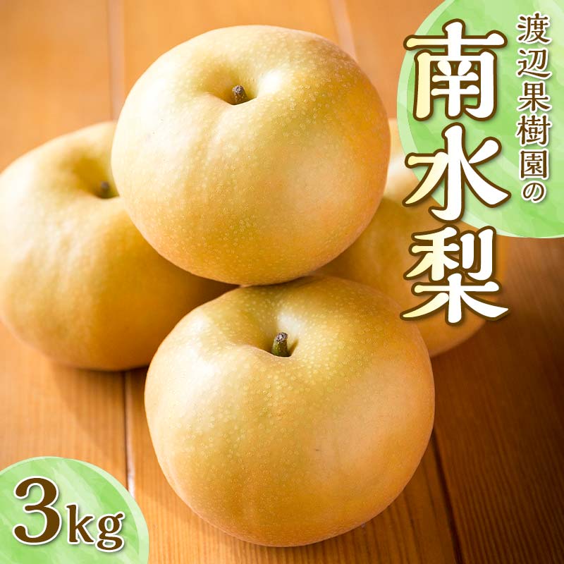 【ふるさと納税】渡辺果樹園の南水梨　約3kg＜9月上旬～9月下旬にお届け＞  F7X-0164
