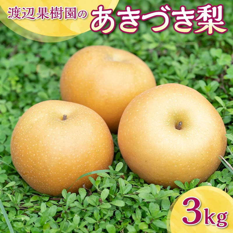 【ふるさと納税】渡辺果樹園のあきづき梨　約3kg＜9月中旬～10月初旬にお届け＞  F7X-0165